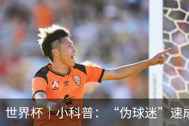 世界杯｜小科普：“伪球迷”速成手册