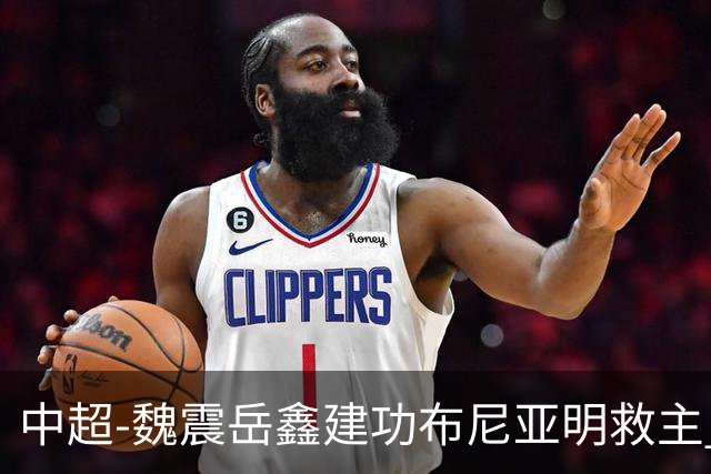 中超-魏震岳鑫建功布尼亚明救主 玉昆4分钟连扳两球2-2海港
