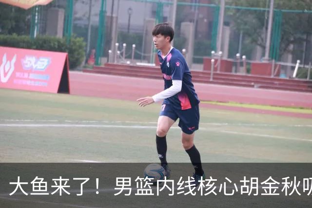 大鱼来了！男篮内线核心胡金秋吸引多队报价，广东队可能放走焦泊乔？