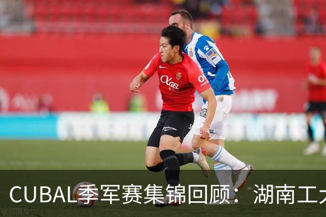 CUBAL季军赛集锦回顾：湖南工大力克广州商学院夺得季军